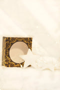nipple-mtal-blanc-cache-ttons-dtoile