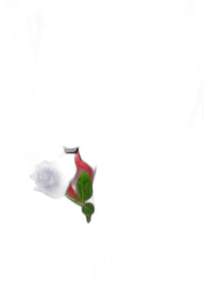 String Ficelle Rouge Ouvert Paris Hollywood