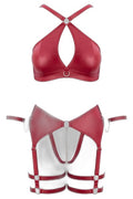 Ensemble BDSM Bordeaux Cotelli Bondage - Soutien-gorge & String - 2
