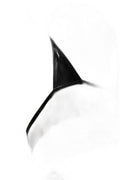 String Brillant Noir Litolu — Séduction Glamour - 2
